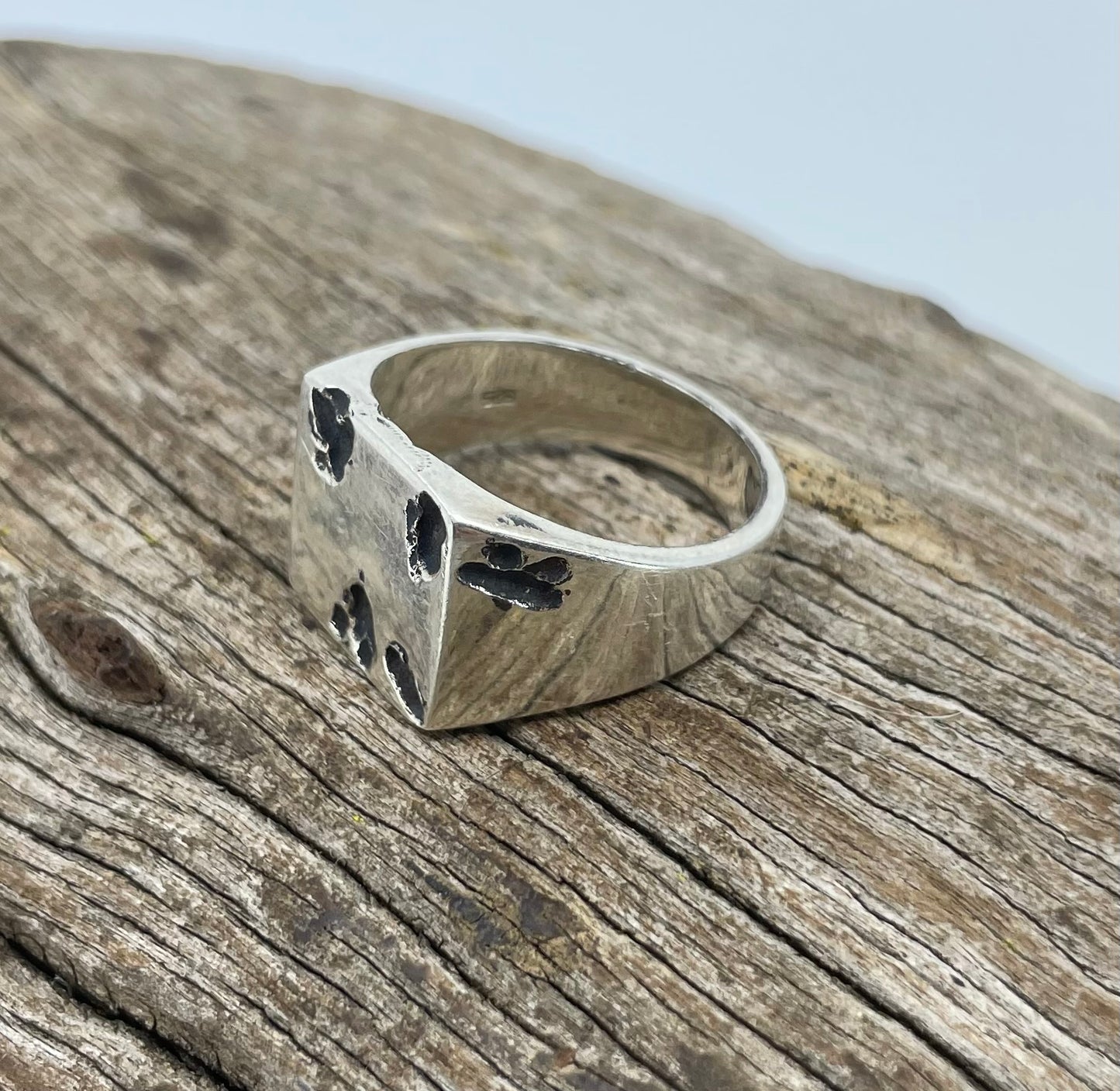 Moon Land Ring 925