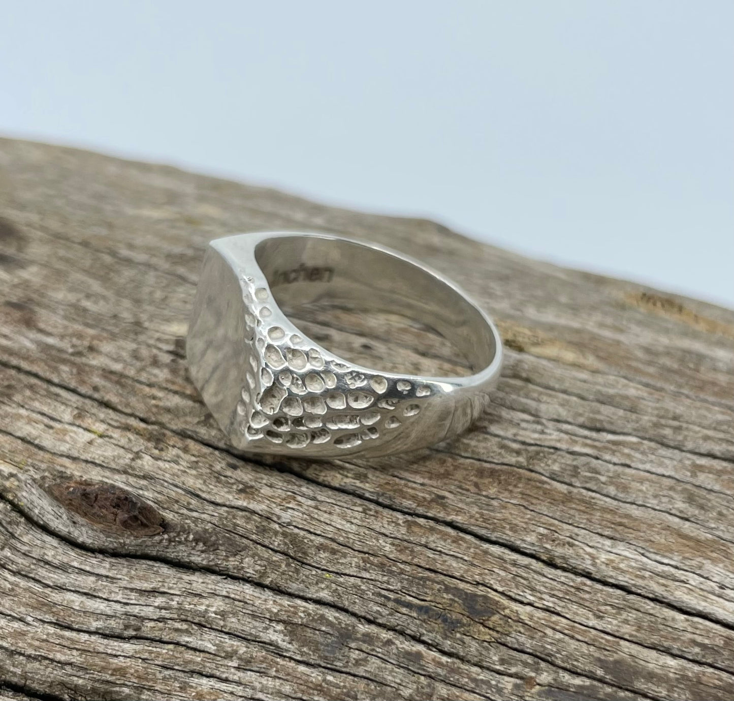 Ecdysis Ring 925