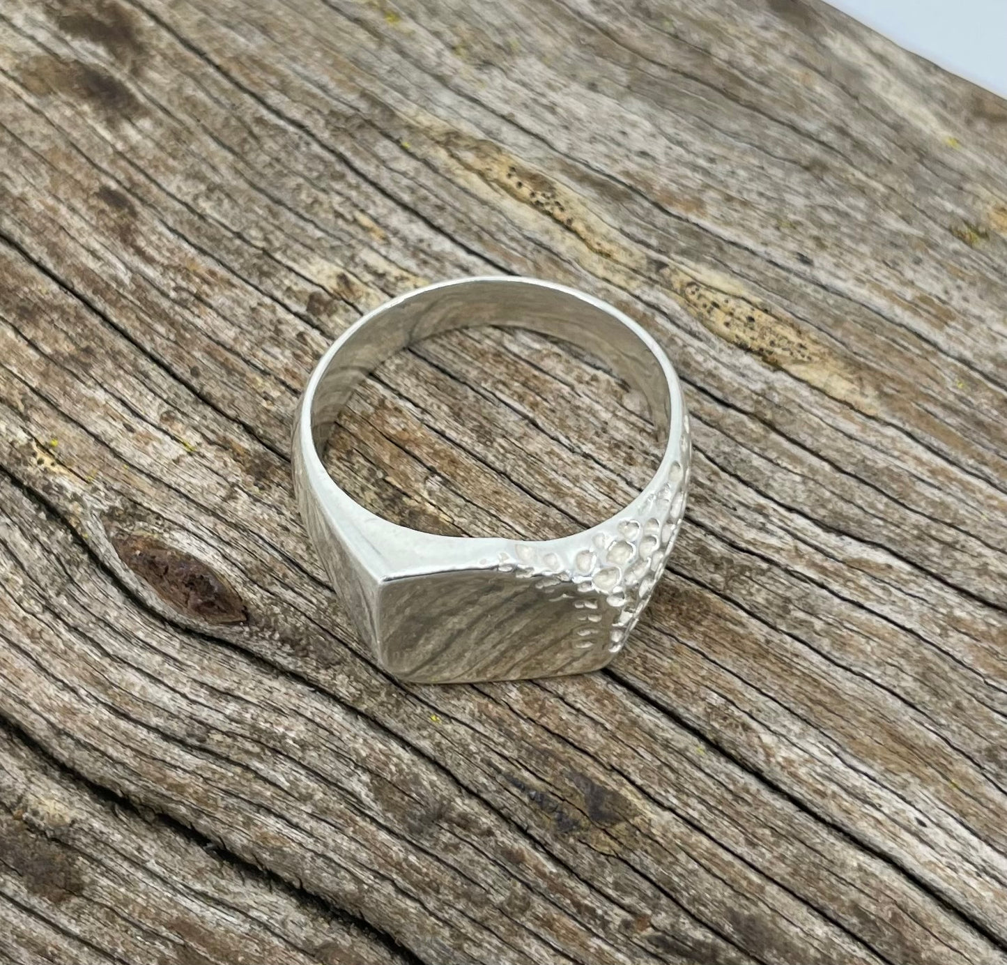 Ecdysis Ring 925