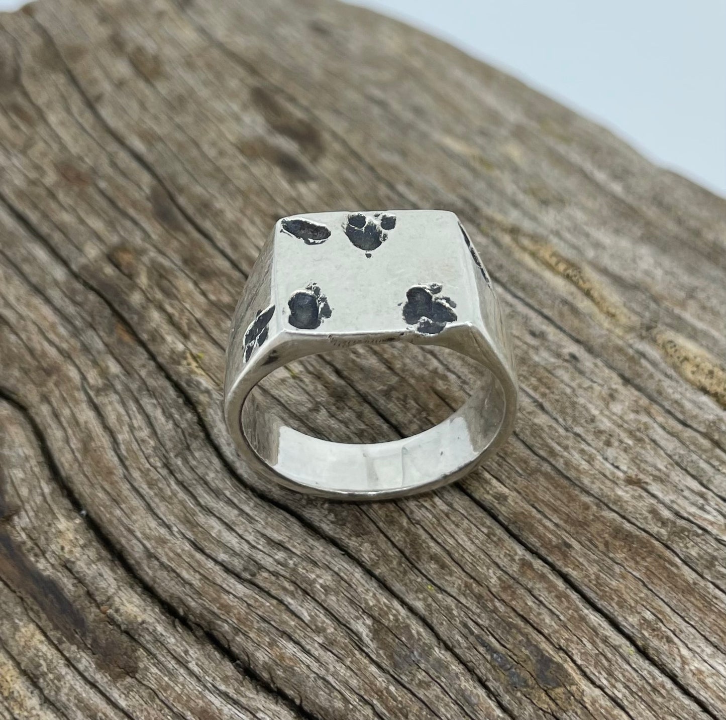 Moon Land Ring 925